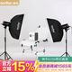 神牛（Godox） 200W-250W摄影灯影室闪光灯静物/人像/证件照/模特影棚摄影灯箱 【套装1】E250W【两灯套装】