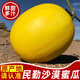 粤迎甘肃民勤蜜瓜【闪送-源头直发】沙漠甜瓜黄金蜜瓜现摘新鲜水果箱 5斤精选果【1-3个瓜】净4-5斤