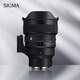 适马（SIGMA）Art 14mm F1.4 DG 全画幅微单 超广角定焦镜头 星空星轨风光摄影（索尼E卡口）