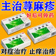 [美福临]荨麻疹丸 10g*5袋 5盒装 荨麻疹口服的药荨麻疹用药过敏止痒增强免疫力寻麻疹丘疹湿疹止痒荨麻疹中成药 巩固装 药材好 药才好