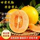 林大馋正宗甘肃民勤蜜瓜黄河黄金蜜瓜沙漠黄皮甜瓜香瓜饱满多汁新鲜水果 饱满匀称【民勤蜜瓜净4.5-5斤】（2颗）