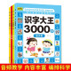 识字大王3000字全套4册幼小衔接学前识字书幼儿园中班大班教育启蒙认字图书3-4-5-6岁幼儿学（套装共4册）