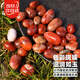 寿禾雨花石天然原石红玛瑙鱼缸造景五彩石 500g樱桃红雨花石0.8-1.5cm