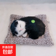 毛绒仿真猫会叫睡猫汽车摆件竹炭垫子猫净化空气家居装饰礼品玩偶 款式9