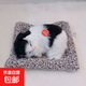毛绒仿真猫会叫睡猫汽车摆件竹炭垫子猫净化空气家居装饰礼品玩偶 款式10