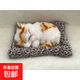 毛绒仿真猫会叫睡猫汽车摆件竹炭垫子猫净化空气家居装饰礼品玩偶 款式20
