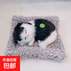 毛绒仿真猫会叫睡猫汽车摆件竹炭垫子猫净化空气家居装饰礼品玩偶 款式13