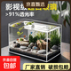 金晶超白鱼缸客厅桌面小鱼缸玻璃草缸龟缸懒人家用生态造景水族箱 长40CM宽24CM高25CM（厚度5MM） 金晶超白鱼缸裸缸