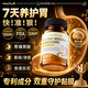 Wellspring.UK胃粘膜养胃护胃修复胃黏膜萎缩性胃炎食品猴头菇谷氨酰胺胃痛补品 100粒*1瓶 体验装【北美科研技术研发】 胃药胃酸反酸烧心反流胃胀保护剂肚子胀气腹胀调理