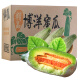 蔬农联（SHUNONGLIAN）山东羊角蜜甜瓜香瓜当季新鲜水果生鲜 3斤精选装