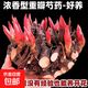 芍药花苗重瓣带芽大苗鲜花四季开花卉阳台庭院牡丹花盆栽植物 混色大块带13-18个芽苞发货+肥料
