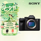索尼（SONY）Alpha 7R V 全画幅微单数码相机 双影像画质旗舰 （ILCE-7RM5/A7R5/A7RM5）单机身 
