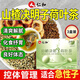 仁和山楂决明子荷叶茶男女体脂搭薏仁陈皮茯苓冬瓜茶3盒