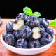 饭小鲜新鲜蓝莓125g*12盒 单果12-15mm 当季新鲜水果 现摘现发
