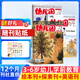 【送好礼】幼儿园杂志订阅 2027年1月起订 1年共12期 3-6岁儿童启蒙早教故事书绘本故事书 每月3册益智探索+绘本表达+英语启蒙 扫码听故事随刊送贴纸手工杂志铺幼儿亲子共读学前教育智力开发
