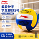 李宁排球【中考训练】专用比赛体育课中小学体考成人儿童软硬5号排球