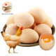 金真安农家散养土鸡蛋30枚 新鲜林间放养柴鸡蛋 生鲜 30枚 1.2kg