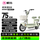 爱玛（AIMA）电动自行车 欢乐豆48V22AH石墨烯电池长续航大踏板新国标电动车京东国民好车电瓶车代步车绿色