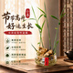 溥畔【水培禄根】禄根姜带盆栽带芽招财绿植生姜室内桌面好养办公室 禄根-小喜玻璃盆（带芽无叶子）   含玻璃瓶