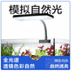 YEE鱼缸灯LED水草灯全光谱迷你夹灯增艳观赏小型造景鱼缸专用灯10.4w