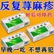 [美福临]荨麻疹丸 10g*5袋 2盒装 荨麻疹进口服药慢性荨麻疹专用药过敏止痒断根增强免疫力皮肤瘙痒荨麻疹过敏皮肤用药 国药100%正品