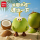 名创优品（MINISO）墩墩鸡6号椰子鸡小鸡玩偶毛绒公仔dundun鸡抱枕儿童玩具生日礼物