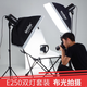 神牛E250闪光灯250w室内小型摄影灯服装人像静物拍照补光影楼灯 E250两灯套装【含套装包】