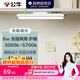 公牛（BULL）LED酷毙灯 学生寝室吸附磁吸宿舍神器台灯学习 床头橱柜灯USB充电 【6W|最大4h续航】充插两用