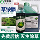 大丰收丰创惠选草铵膦除草剂农药灭生性牛筋草草胺磷果园除杂草1kg