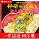 神奇的校车一年级柯尔著在人体中游览全套图画书版少儿阅读版小学生二年级课外书正版四川辑动画版