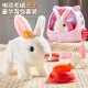 雅斯妮儿童玩具仿真动物电动宠物小白兔会动会叫3-6岁男女孩生日礼物