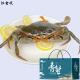 【活蟹】江食代 三门青蟹 鲜活大红母膏蟹（每只6-7两）7只/件  红鲟 螃蟹生鲜礼盒装
