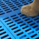 梦雷宠狗垫子塑料垫板狗笼子脚垫板散热板宠物垫大中小犬猫可拼接 长110*宽72cm狗笼专用(2块67*5 蓝色