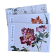 全3册荣宝斋画谱237.238.239王雪涛绘花卉部分绘草虫部分绘禽鸟部分绘画艺术画册画集国画技法临摹范本图册图集美术素材资料图书籍