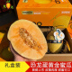 恐龙蛋蜜瓜4粒装礼盒装  单果2.5斤 黄金蜜瓜网纹瓜甜瓜哈密瓜