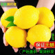 维记四川安岳黄柠檬鲜果一级大果当季新鲜水果皮薄好果泡水小柠檬 精选大果 5斤装