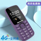 纽曼（Newman）T10 mini全网通4G老人手机 移动联通电信老年机 学生儿童大声音大字体K99 【4G全网通】紫色