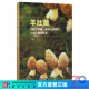 羊肚菌生物学基础、菌种分离制作与高产栽培技术/贺新生