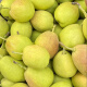 采缇（CAITI）新疆梨子特级全大母梨10斤当季水果新鲜整箱小香梨 5斤