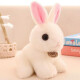 兔子毛绒玩具韩国可爱仿真兔兔公仔小白兔玩偶少女心娃娃小号女生 仿真兔-白色款 20厘米