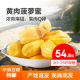 海南黄肉菠萝蜜 热带新鲜水果波罗蜜生鲜 ⭐黄肉菠萝蜜20-25斤