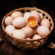 莘度（SHENDU）农场农家散养土鸡蛋10枚含包装400g左右不支持拒收签收一周内食用 10枚鸡蛋
