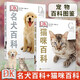 【两册套装】DK名犬百科+DK猫咪百科 宠物类知识科普书 家居宠物驯养训练教程书 猫狗宠物图鉴