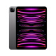 Apple/苹果【教育优惠】iPad Pro 11英寸 2022款(256G WLAN版/M2芯片/MNXF3CH/A)深空灰色