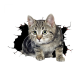 创意个性3D立体小猫汽车贴纸 可爱搞怪猫咪遮挡车身车尾划痕刮痕 3D猫贴12*9厘米单张