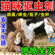 猫狗身上痒幼猫咪驱虫药体内外一体跳蚤虱子螨虫除虫灭虫专用喷剂 1瓶【猫咪除跳蚤】