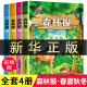 正版4册 森林报春夏秋冬彩绘版小学生二三四五六2-3-4-5-6年级森林报春夏秋冬全四册青少年儿童文学课外书读物8-12岁课外书