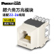 PANDUIT 泛达超五5类超六6a类NK模块非屏蔽RJ45网线模块86型单口双口网络面板千兆万兆 超六类万兆模块-白色