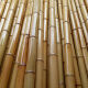亚招 竹竿各种规格竹子菜园搭架篱笆栅栏彩旗装潢跳舞竹杆 2厘米粗2米长