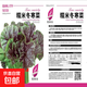 【亏本冲量】糯米冬寒菜种子四季种冬寒菜苋菜阳台菜园盆栽可种植 糯米冬寒菜种子 五包约2500粒